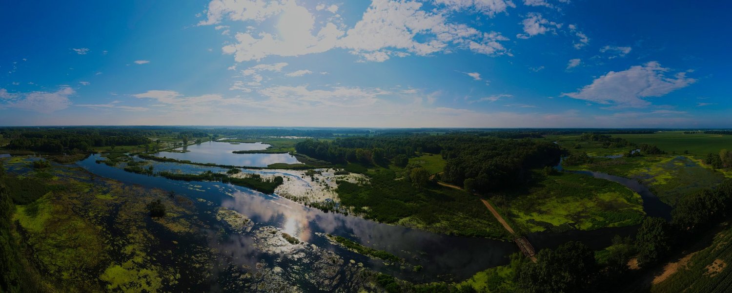 Wetland on the Fawn River near White Pigeon, MI.