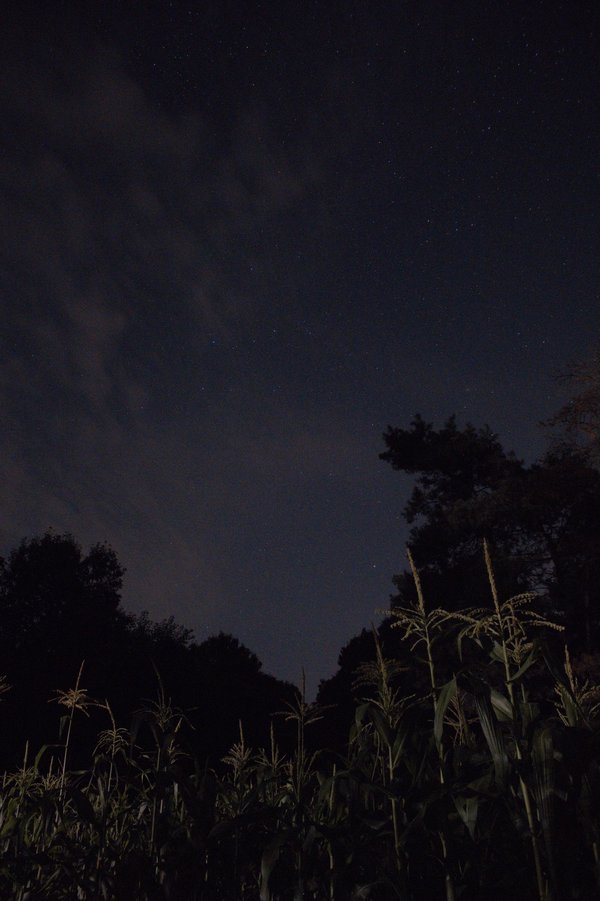 Night sky in Centreville, MI.