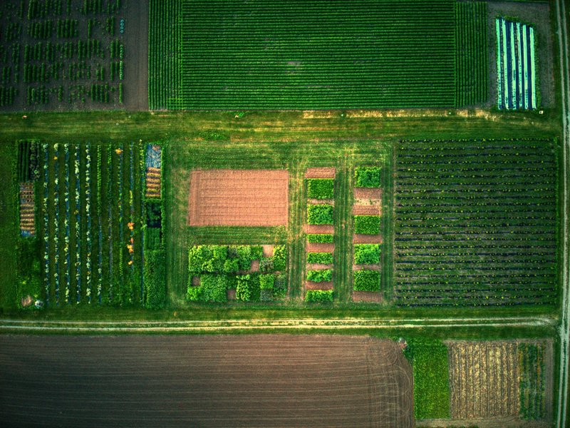 Ag research plots in St. Paul, MN.