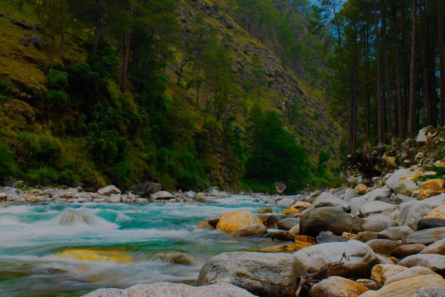 Glacial Himalayan stream in Uttarakhand, India.
