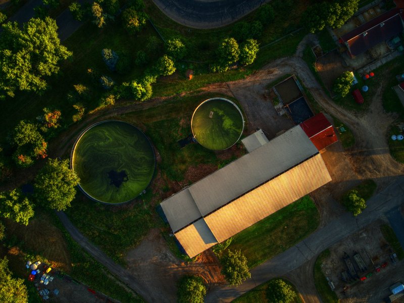 Aerial shot of the St. Paul campus.